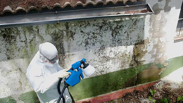 Top rated local Mold Remediation specialists in Liberty Hill, TX